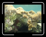 Tortola 234 * 2048 x 1536 * (1.52MB)